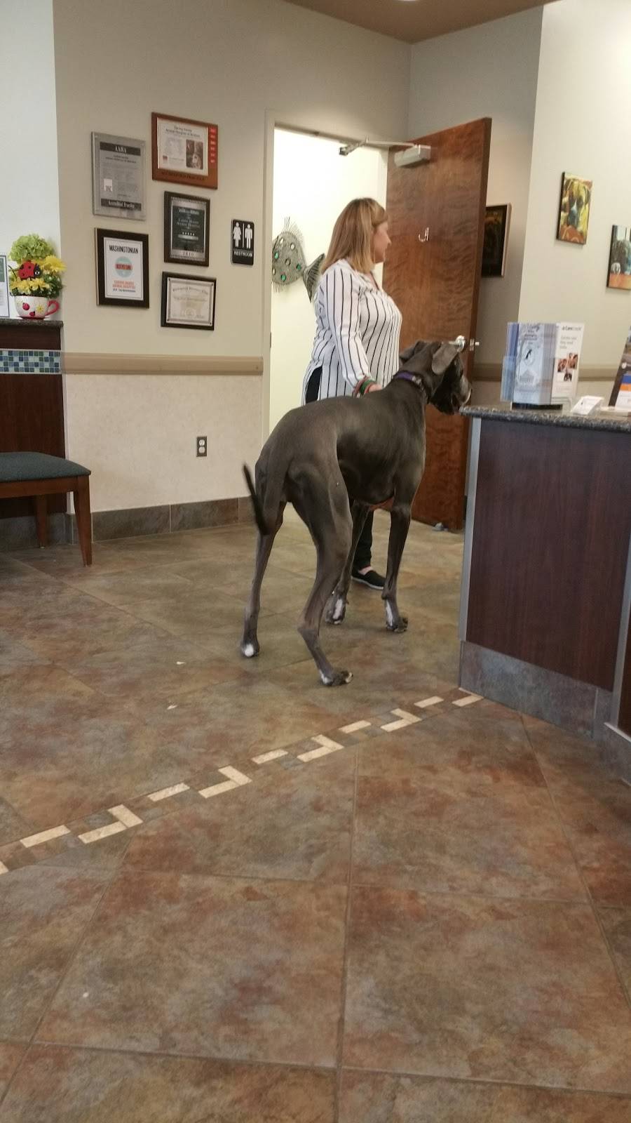 Braemar Village Center | shopping mall | 12713-12891 Braemar Village Pz, Bristow, VA 20136, USA | 7034424300 OR +1 703-442-4300