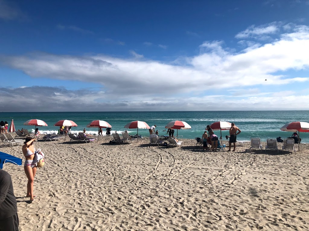 Plunge Bar & Grill | restaurant | 19201 Collins Ave, Sunny Isles Beach, FL 33160, USA | 3059322233 OR +1 305-932-2233