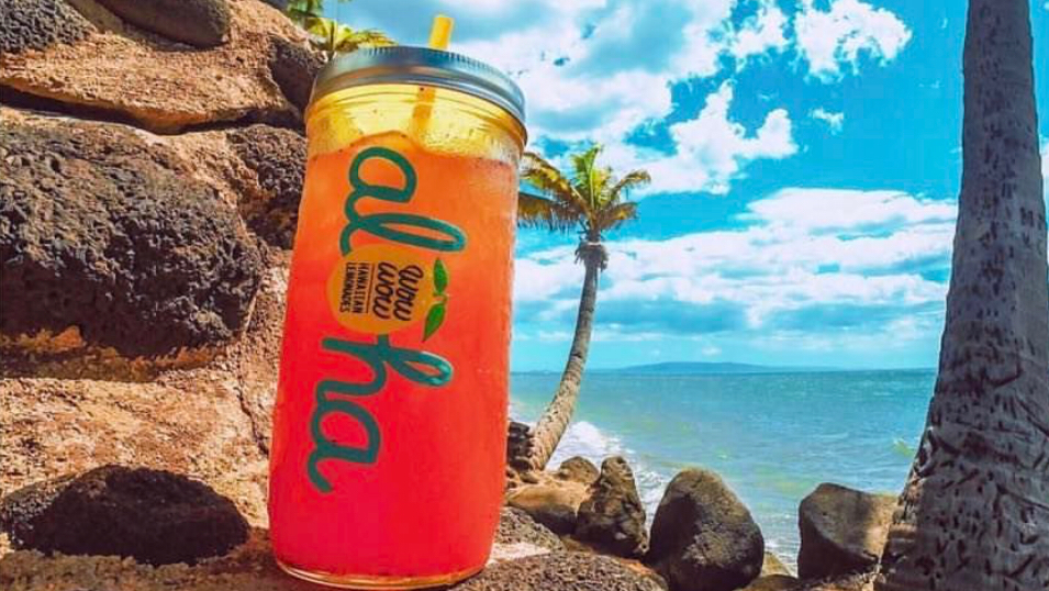 Wow Wow Hawaiian Lemonade | restaurant | 4910 E Ray Rd, Phoenix, AZ 85044, USA | 4809405561 OR +1 480-940-5561