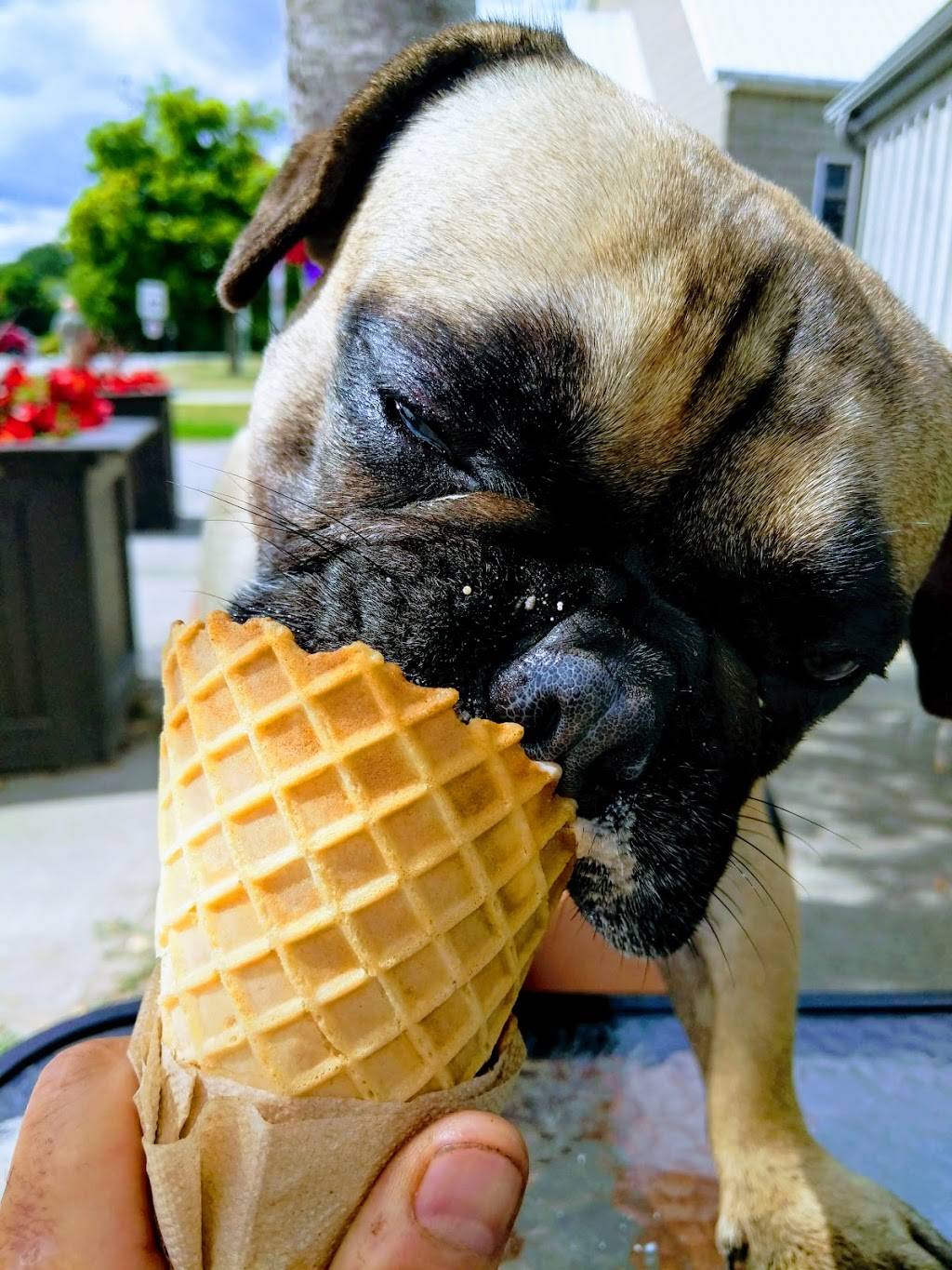 Canoe & Paddle | restaurant | 18 Bridge St, Lakefield, ON K0L 2H0, Canada | 7056511111 OR +1 705-651-1111