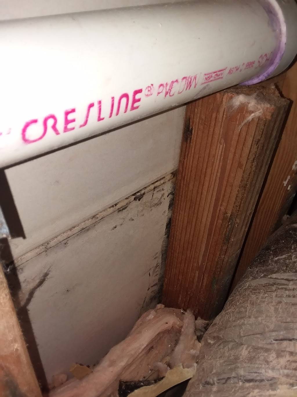 Deli Salvadoreño | restaurant | 72 Myrtle Ave, Stamford, CT 06902, USA | 2035697020 OR +1 203-569-7020