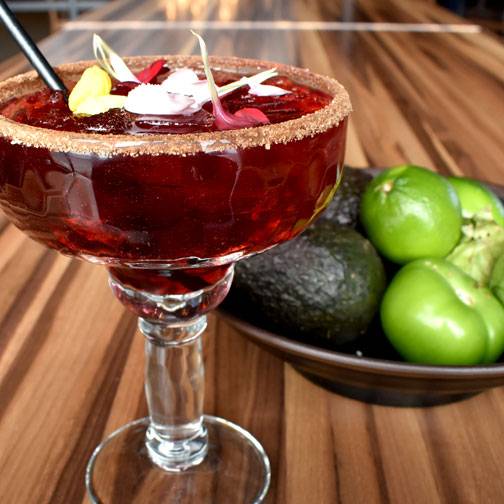 Blue Iguana Mexican American Cantina | restaurant | 250 Westfield Ave Ste 101, Waterloo, IA 50701, USA | 3198887245 OR +1 319-888-7245