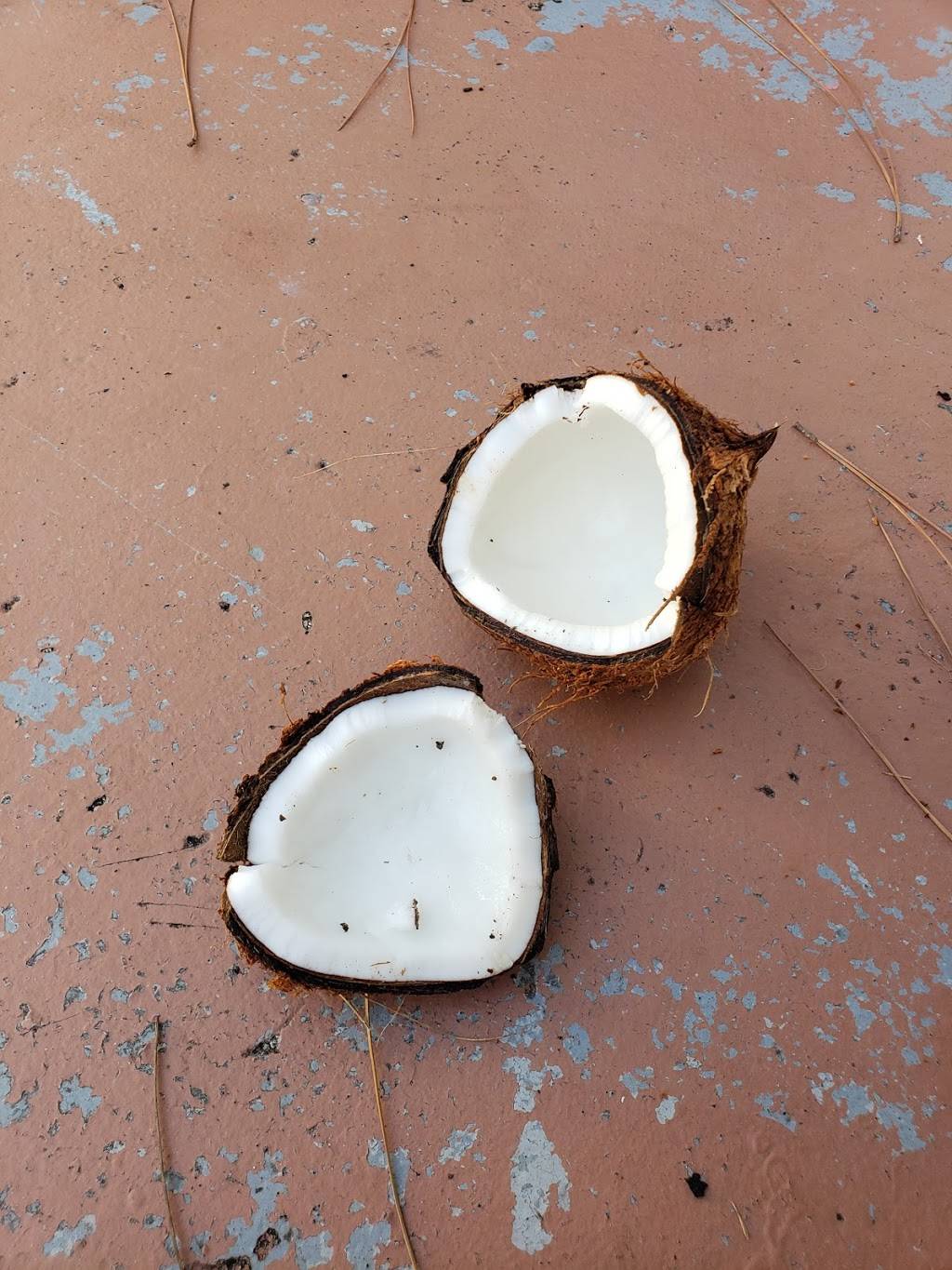 Checkers | restaurant | 2270 S Military Trail, West Palm Beach, FL 33415, USA | 5619674433 OR +1 561-967-4433