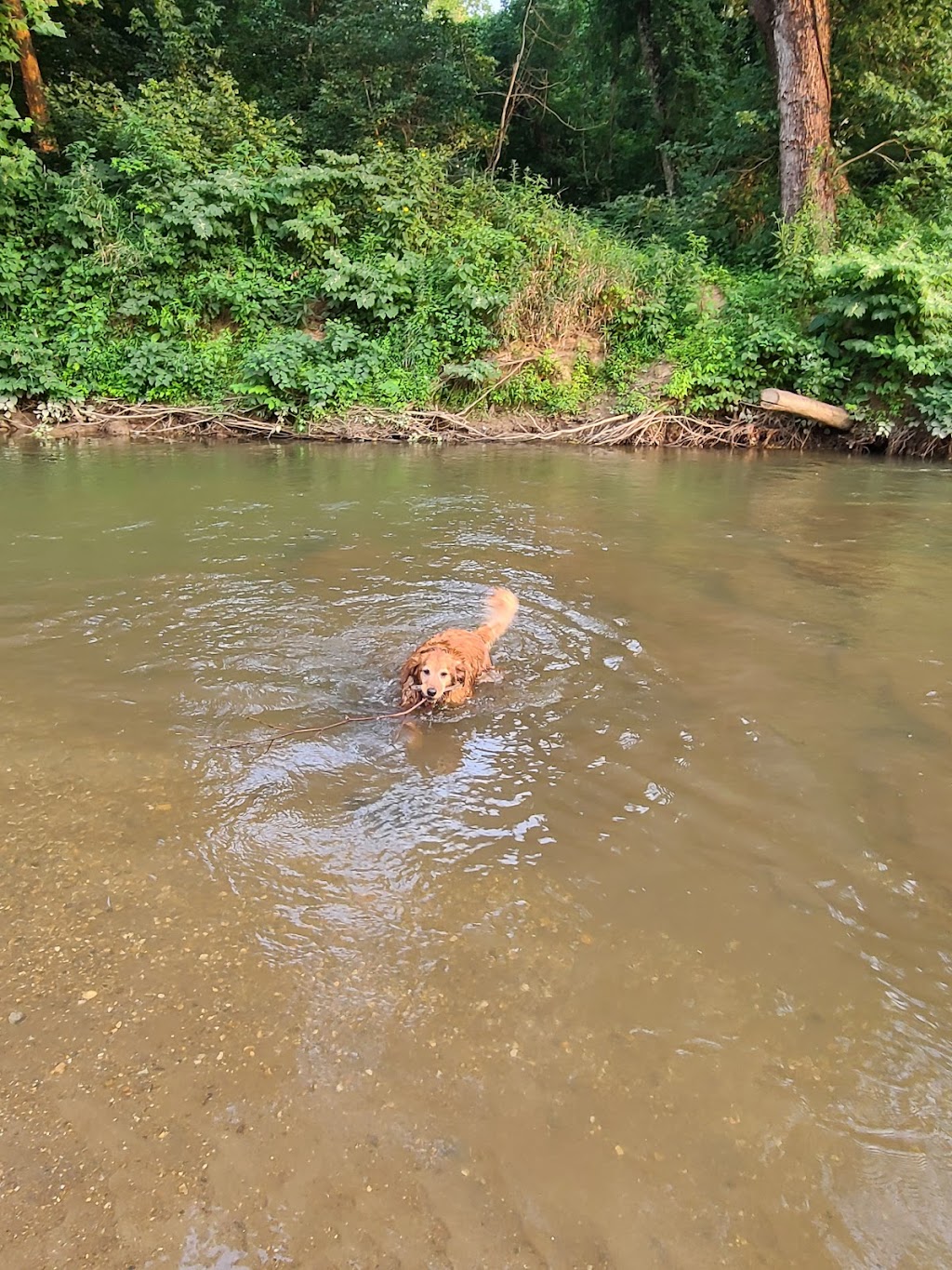 French Broad Outfitters - Hominy Creek | restaurant | 230 Hominy Creek Rd, Asheville, NC 28806, USA | 8285057371 OR +1 828-505-7371