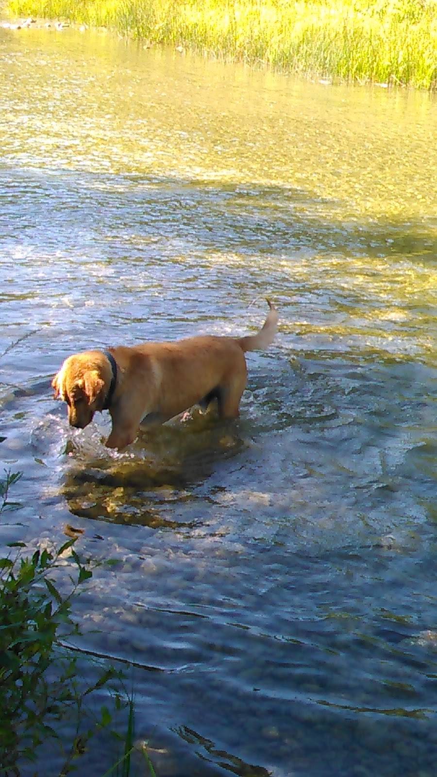 Big Mikes Pizza | meal delivery | 424 W Chisholm St, Alpena, MI 49707, USA | 9893402030 OR +1 989-340-2030