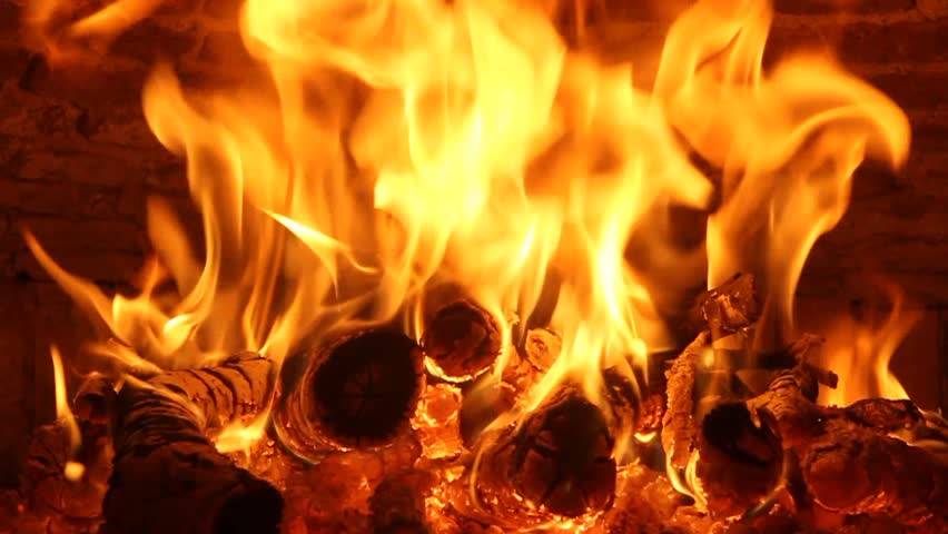 Rakachaka Grill Y Más | restaurant | 1280 SW 1st St Suite 1-2, Miami, FL 33135, USA | 3056467900 OR +1 305-646-7900