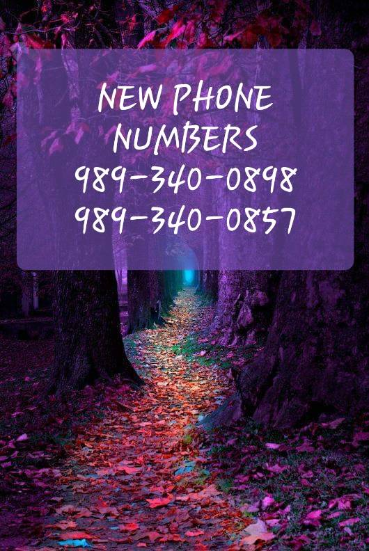 Big Mikes Pizza | restaurant | 424 W Chisholm St, Alpena, MI 49707, USA | 9893400898 OR +1 989-340-0898