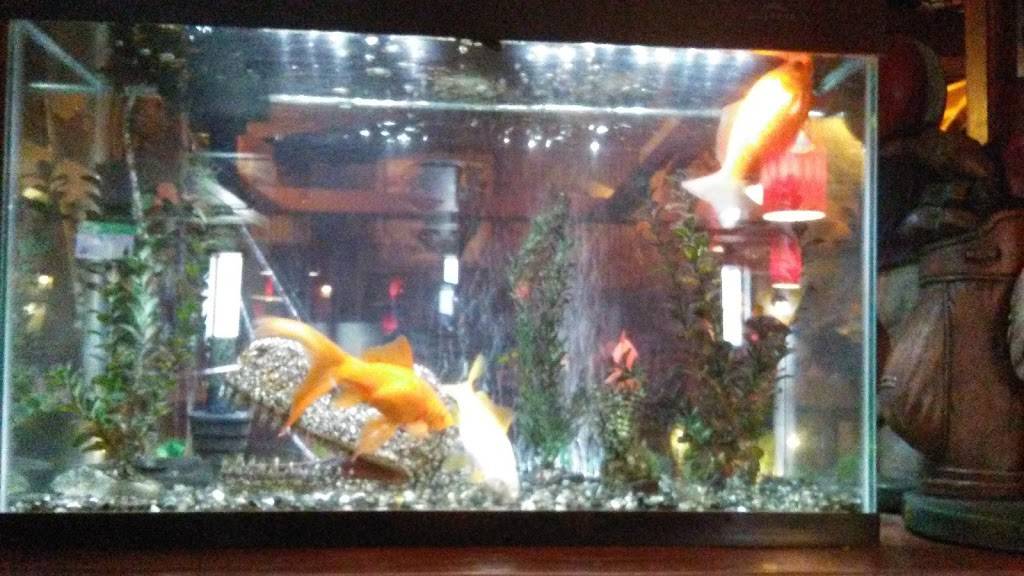 Players Pizza & Pub | restaurant | 556 W 5th Ave, Oshkosh, WI 54902, USA | 9203031400 OR +1 920-303-1400