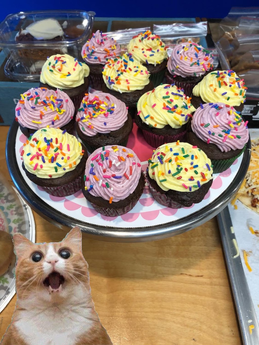 Fresh Box Cafe | restaurant | 3230 W Commercial Blvd # 170, Fort Lauderdale, FL 33309, USA | 9547309495 OR +1 954-730-9495