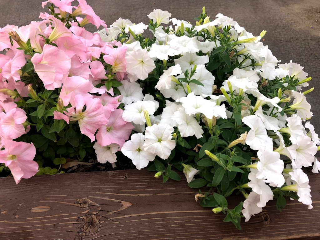 Rail Station & Ale House | restaurant | 29 N Columbia St, Wenatchee, WA 98801, USA | 5098882165 OR +1 509-888-2165