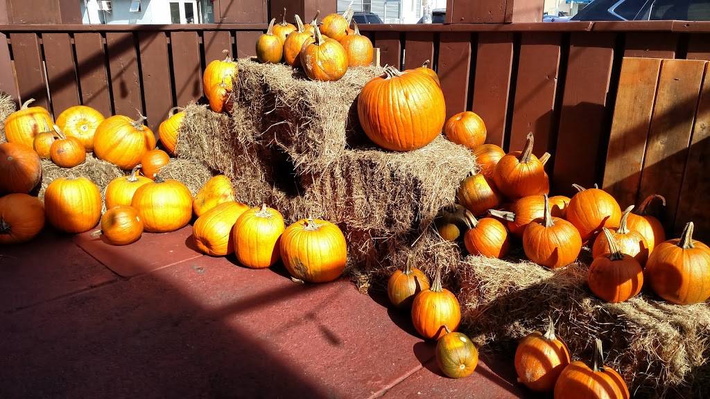 Speakeasy | restaurant | 1032 W Beech St, Long Beach, NY 11561, USA | 5168893279 OR +1 516-889-3279