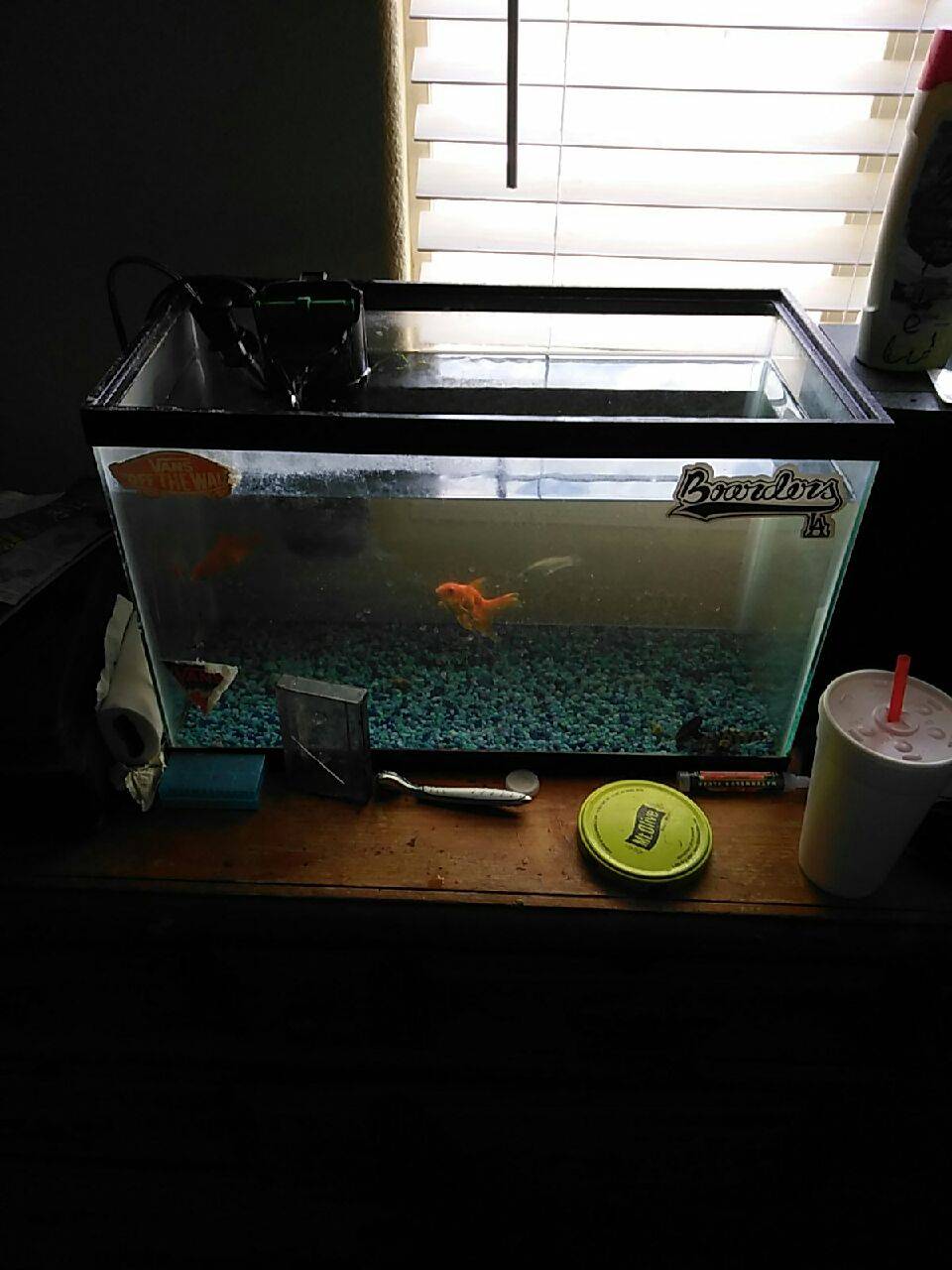 Subway | restaurant | 1766 E Ave. J, Lancaster, CA 93535, USA | 6619405136 OR +1 661-940-5136