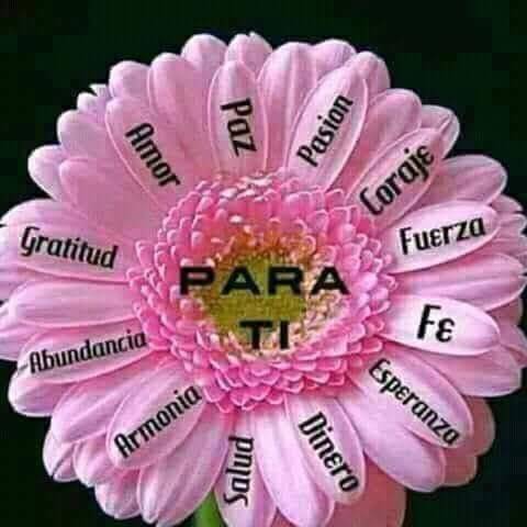 Atitlan Express | restaurant | 1624 W 6th St, Los Angeles, CA 90017, USA | 2133539005 OR +1 213-353-9005