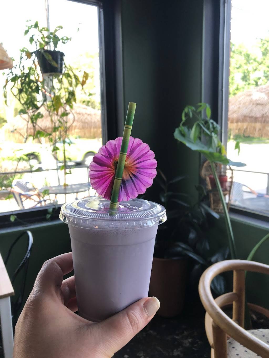 Aunties Norfolk | restaurant | 4314 Colley Ave, Norfolk, VA 23508, USA | 7575244909 OR +1 757-524-4909