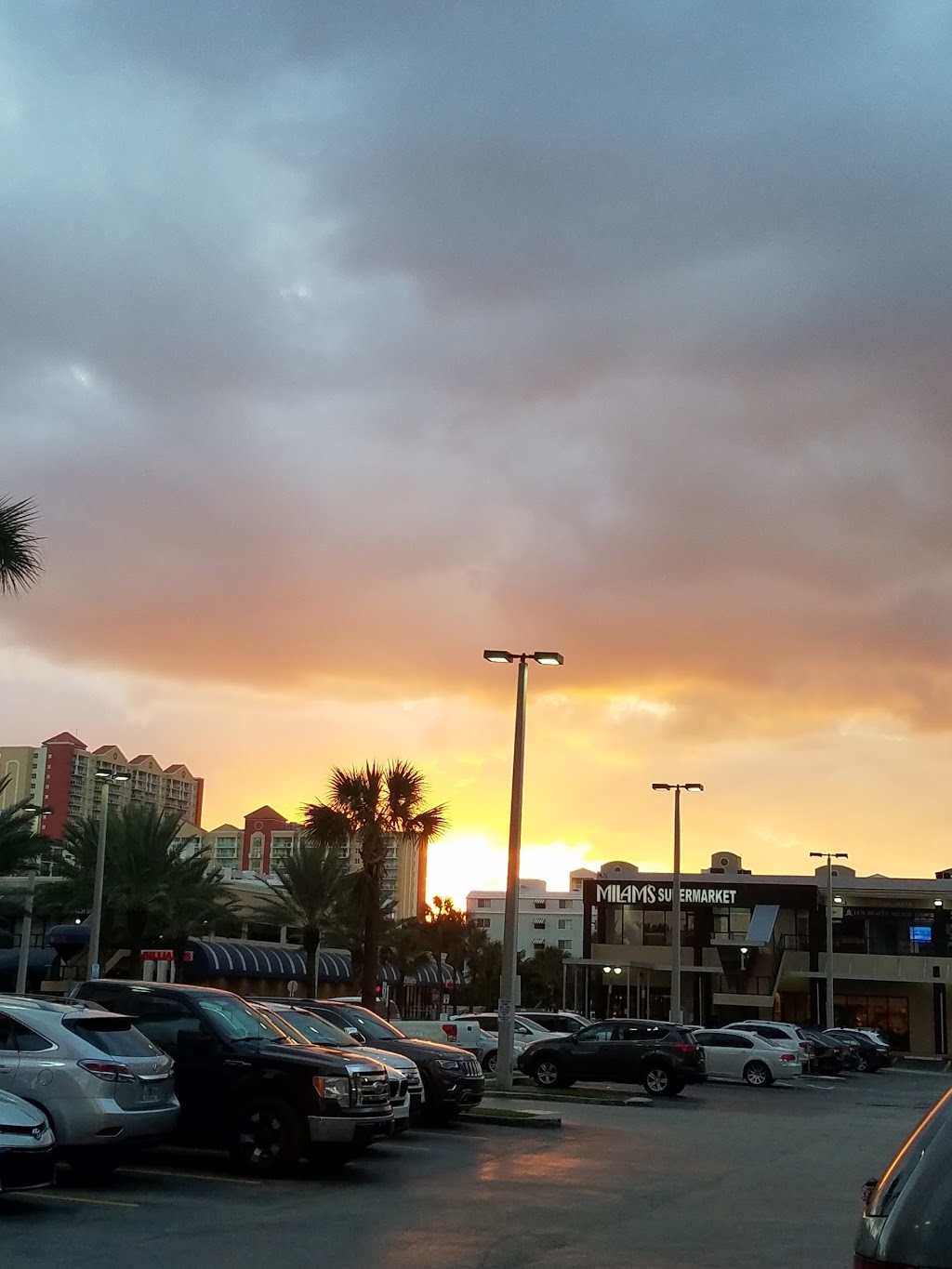 Starbucks | cafe | 17100 Collins Ave #101, Sunny Isles Beach, FL 33160, USA | 3059408812 OR +1 305-940-8812