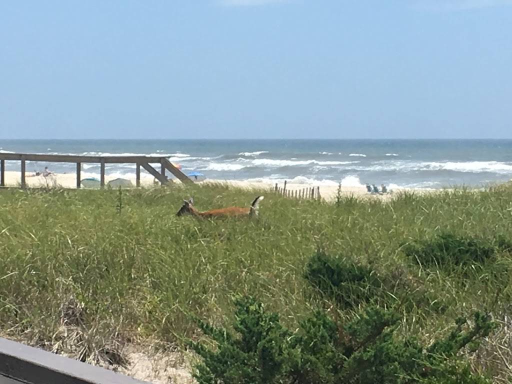 Sand Castle | restaurant | 106 Lewis Walk, Sayville, NY 11782, USA | 6315974174 OR +1 631-597-4174