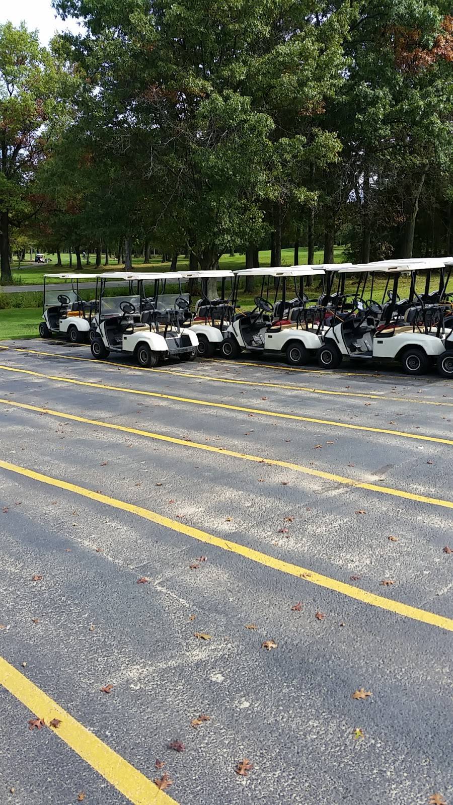 Castle Rock Golf Course | restaurant | W6285 Welch Prairie Rd, New Lisbon, WI 53950, USA | 6088474658 OR +1 608-847-4658