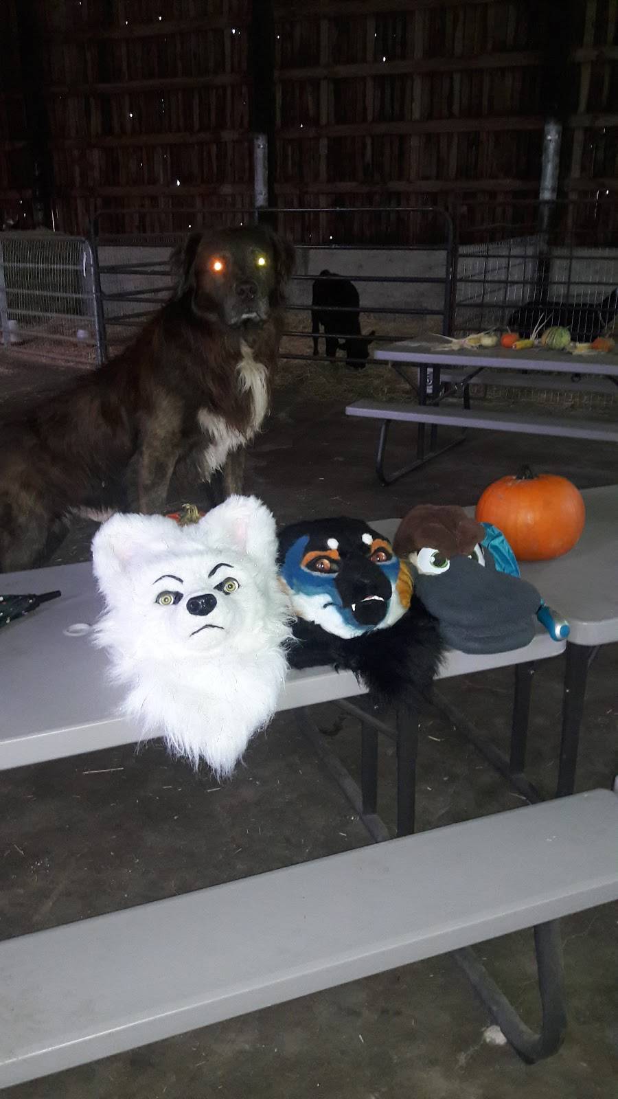 Osborn Dairy | restaurant | 1021 WA-6, Chehalis, WA 98532, USA | 3607487000 OR +1 360-748-7000