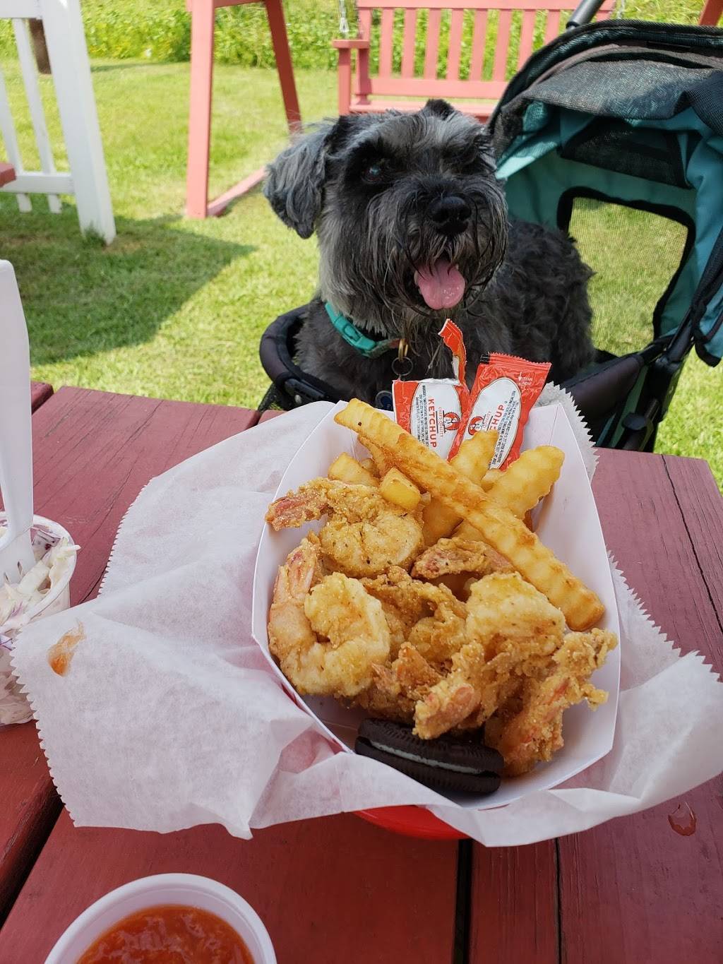 The Dog House Restaurant | restaurant | 381 Sea Island Pkwy, Beaufort, SC 29907, USA | 8437700013 OR +1 843-770-0013