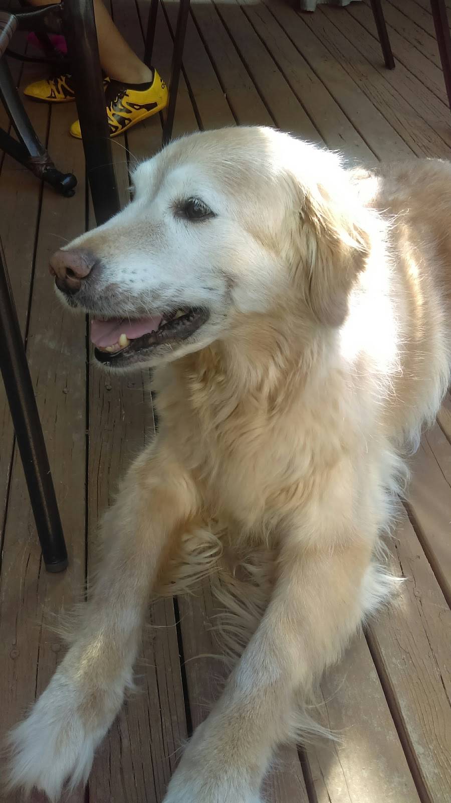 Dagwoods La Sandwicherie | restaurant | 930 Chemin Herron, Dorval, QC H9S 1B3, Canada | 5146318572 OR +1 514-631-8572