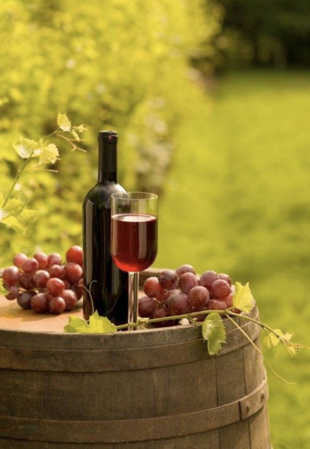 Hs Place Pizzeria | restaurant | 13105 WI-113, Merrimac, WI 53561, USA | 6084934444 OR +1 608-493-4444