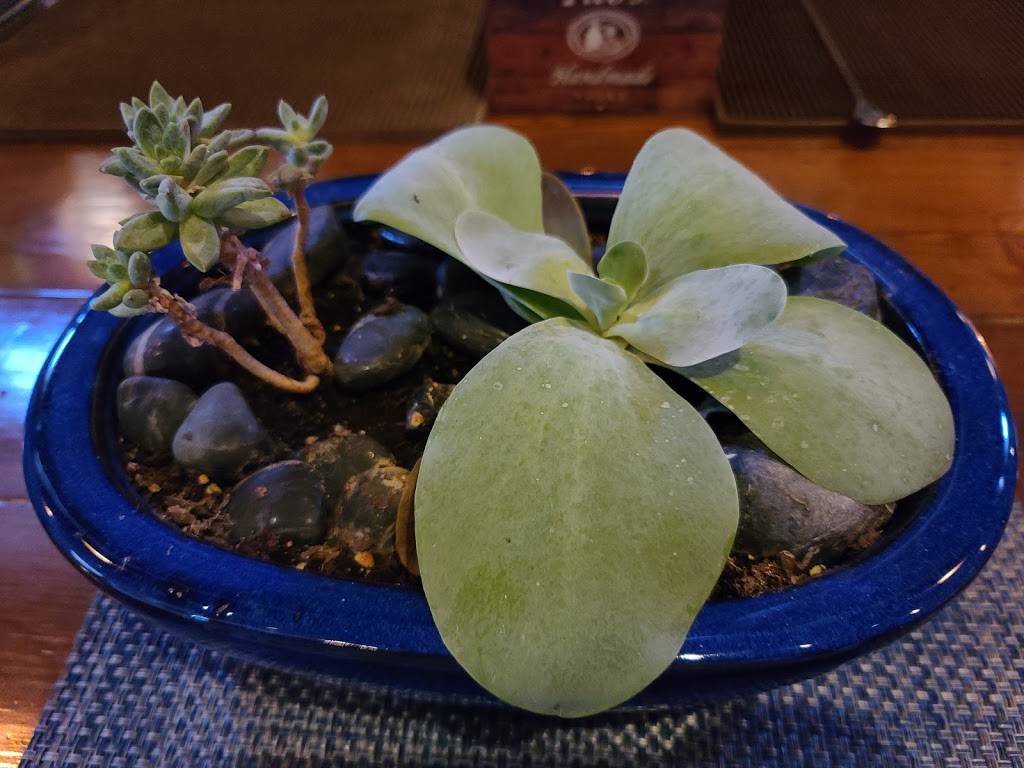 Cinclare Restaurant | restaurant | 601 W 3rd St, Thibodaux, LA 70301, USA | 9852279507 OR +1 985-227-9507