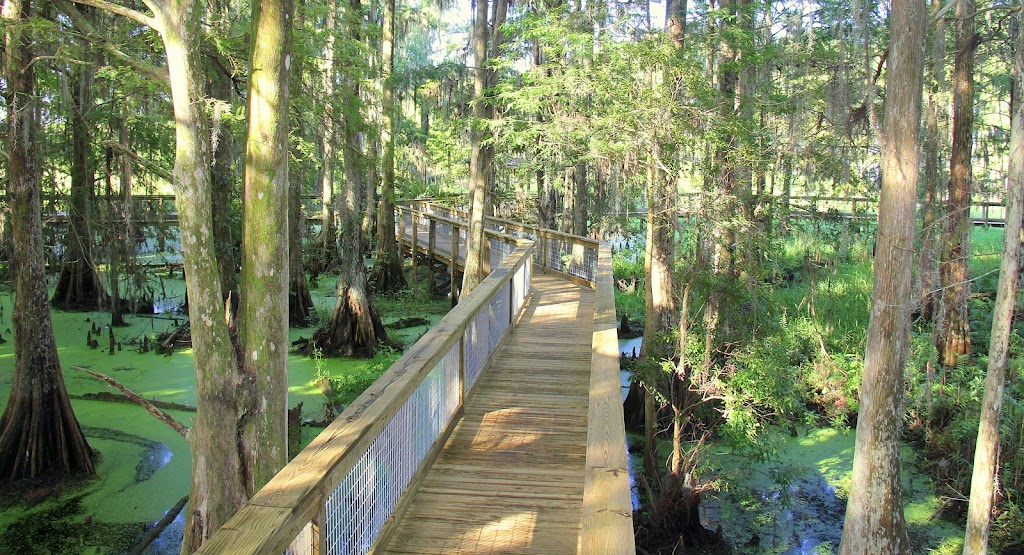 Wild Florida Airboats & Gator Park | restaurant | 3301 Lake Cypress Rd, Kenansville, FL 34739, USA | 4079573135 OR +1 407-957-3135