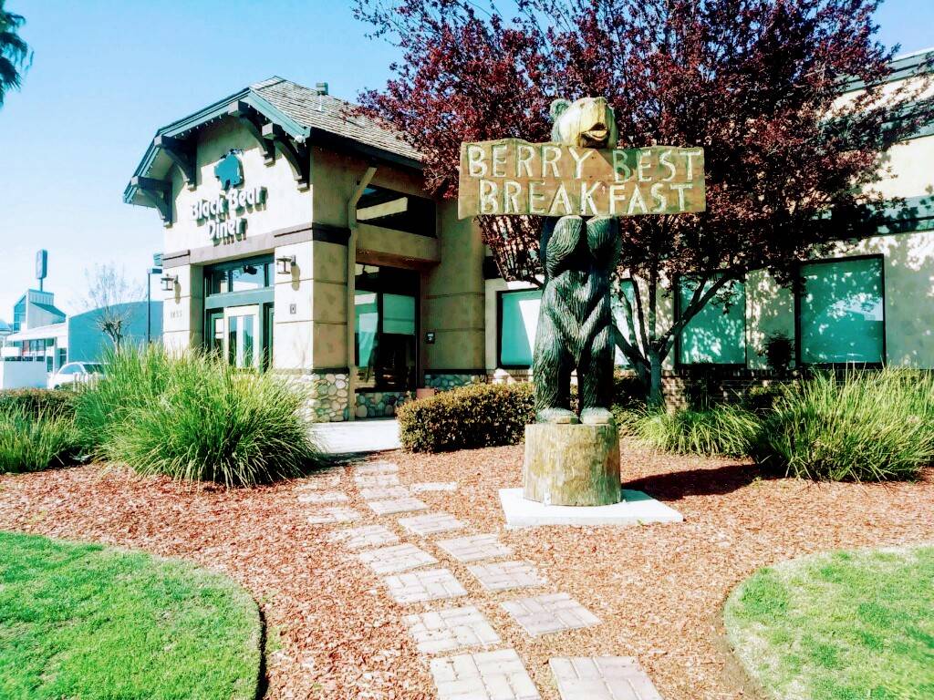 Black Bear Diner | restaurant | 1435 V St, Merced, CA 95340, USA | 2093839600 OR +1 209-383-9600
