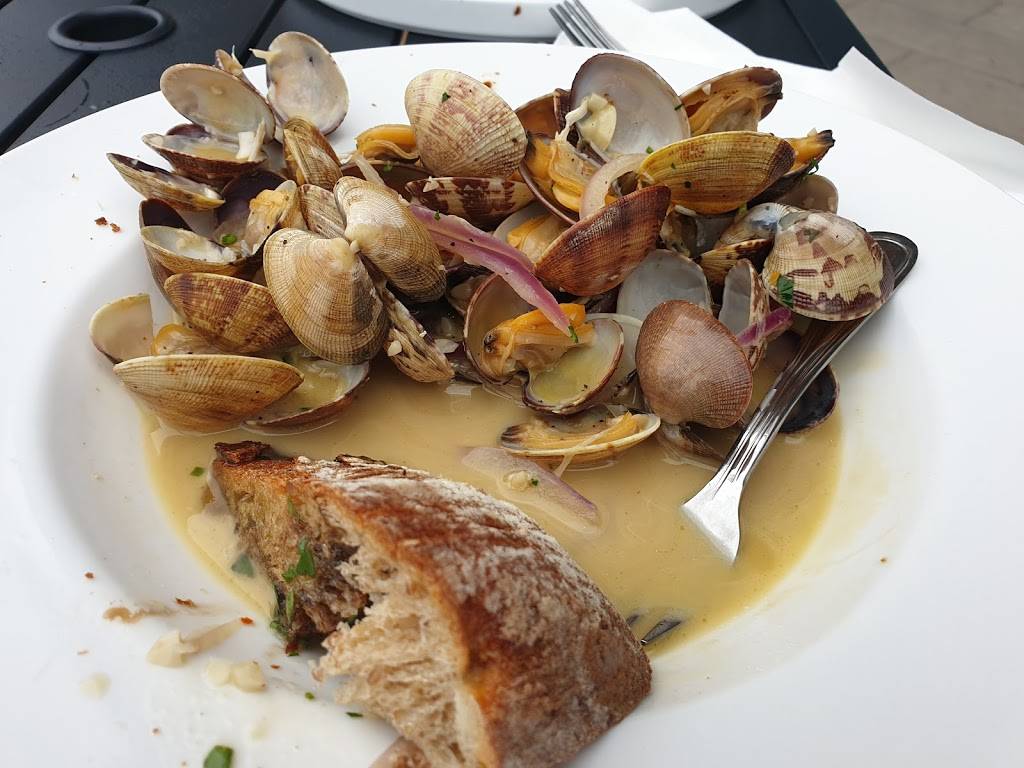 Oasis Lebanese Cuisine | Beaverton | restaurant | 14845 SW Murray Scholls Dr, Beaverton, OR 97007, USA | 5035907486 OR +1 503-590-7486