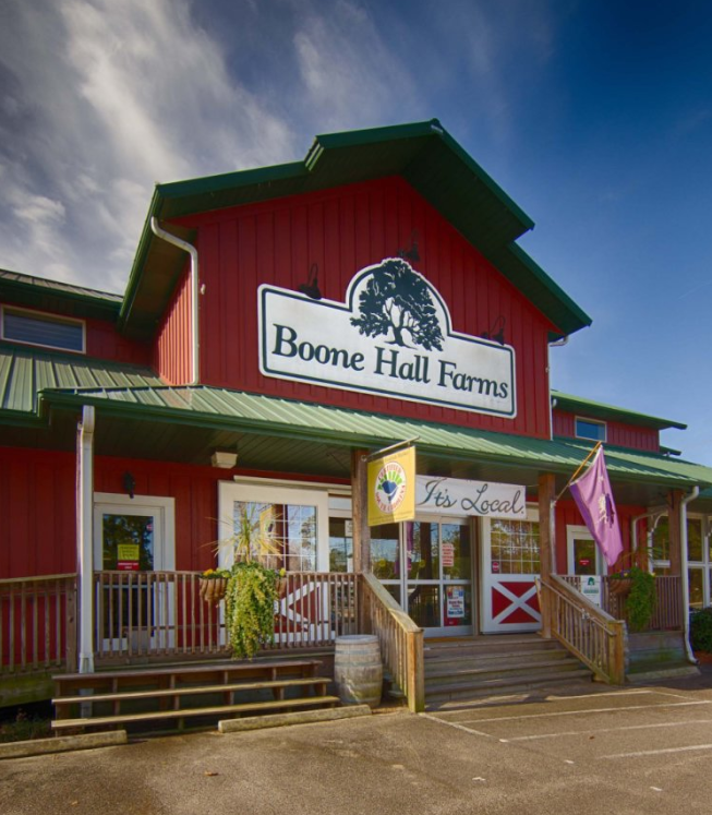 Boone Hall Farms Market | restaurant | 2521 N Hwy 17, Mt Pleasant, SC 29466, USA | 8438568154 OR +1 843-856-8154