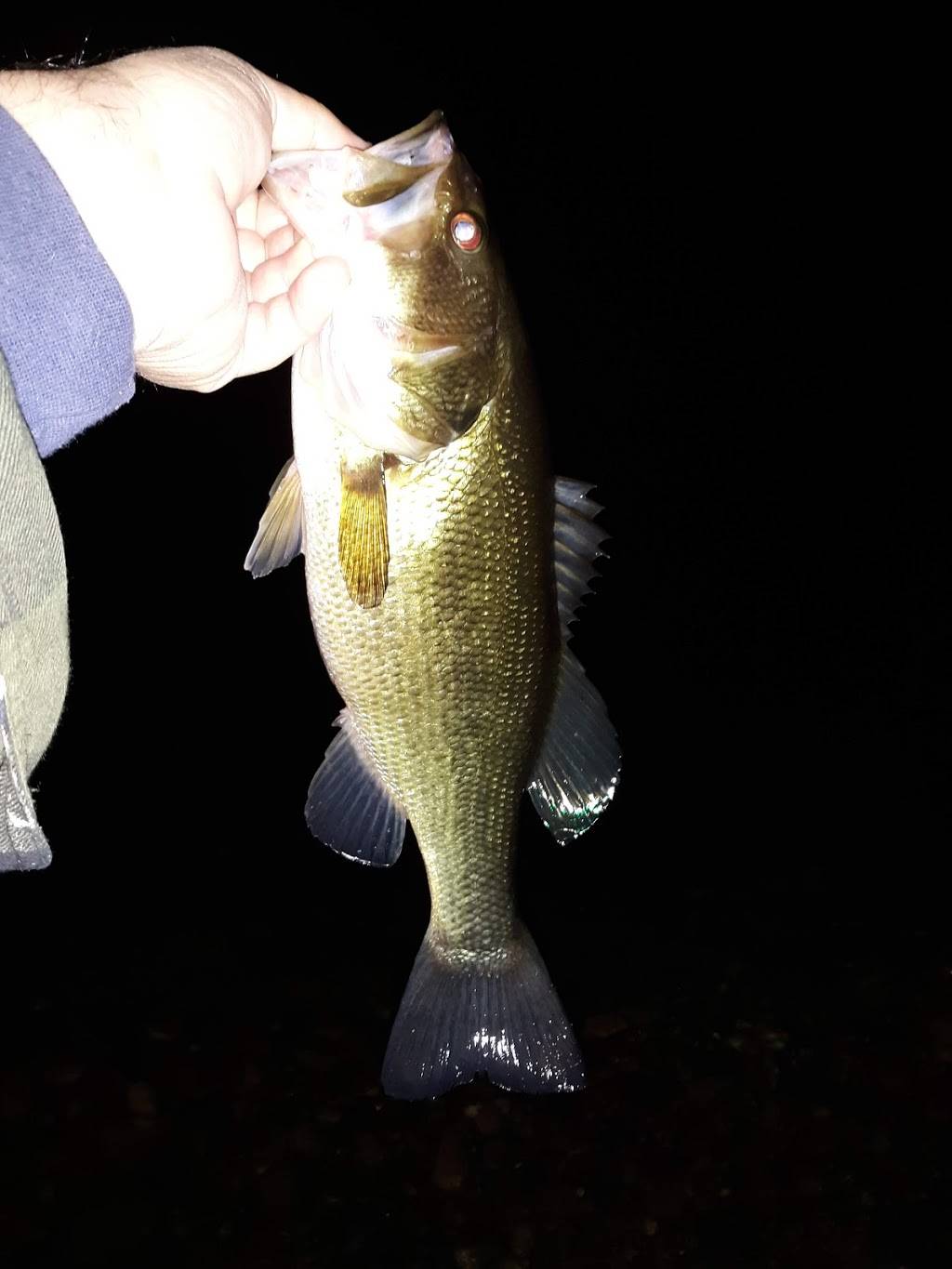 Village Pizza | restaurant | 49 Hancock St, Rochester, NH 03867, USA | 6033354344 OR +1 603-335-4344