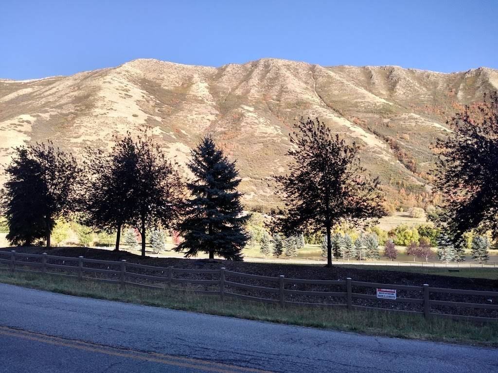 Arbys | meal takeaway | 955 E Expressway Square, Spanish Fork, UT 84660, USA | 8017988640 OR +1 801-798-8640