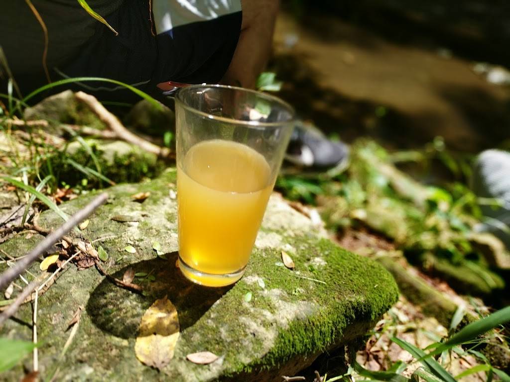 Rockmill Brewery | restaurant | 5705 Lithopolis Rd NW, Lancaster, OH 43130, USA | 7402058076 OR +1 740-205-8076