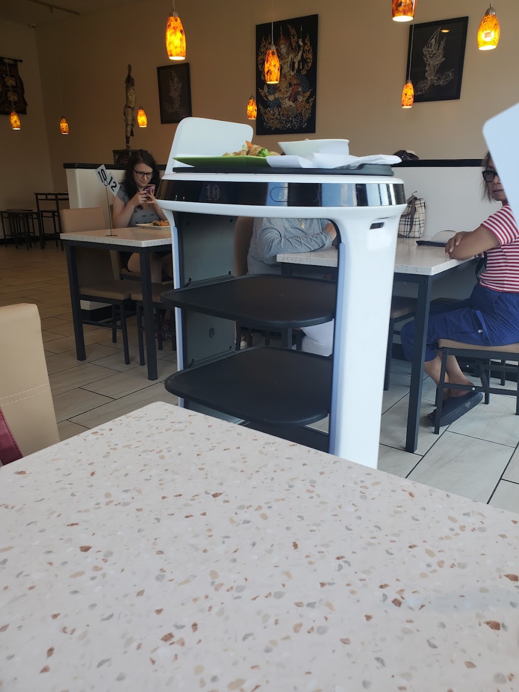 Ocha Thai Restaurant | restaurant | 510 Grn Mdws Rd, Columbia, MO 65201, USA | 5738013459 OR +1 573-801-3459