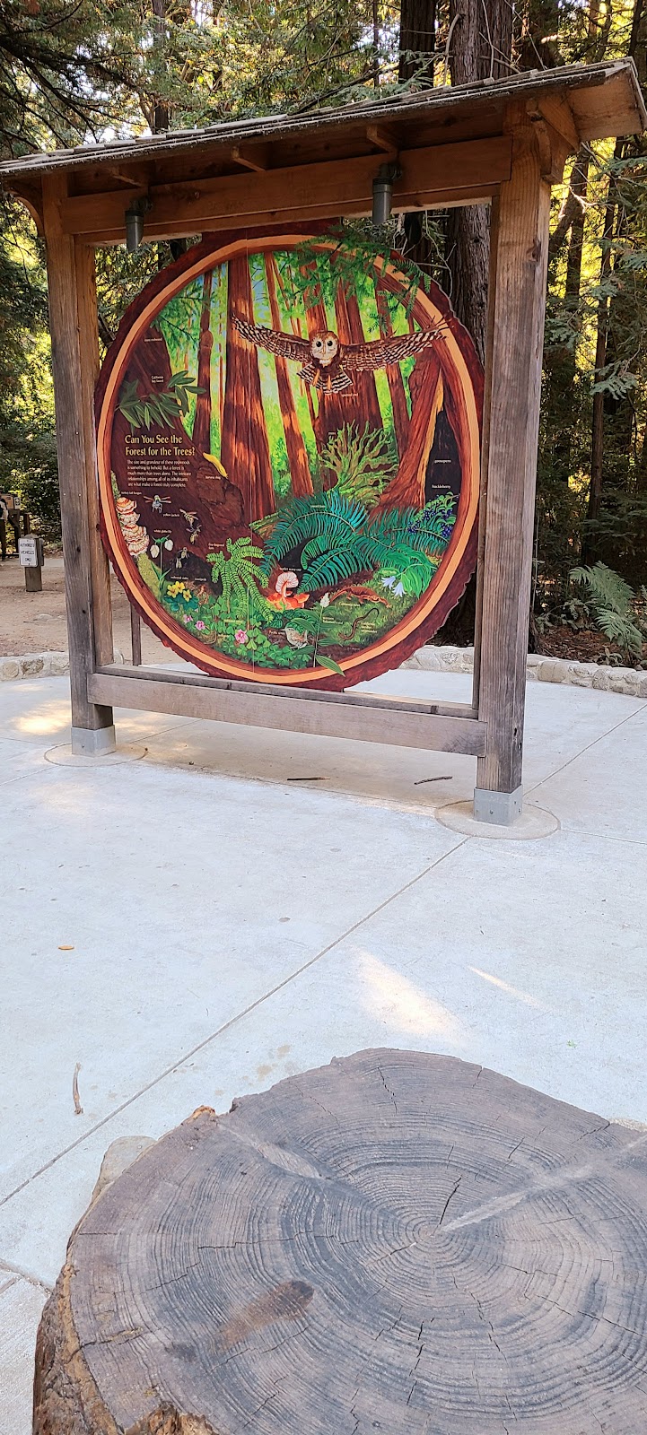 Homestead Restaurant | restaurant | Pfeiffer Big Sur Rd, Big Sur, CA 93920, USA | 8552386950 OR +1 855-238-6950