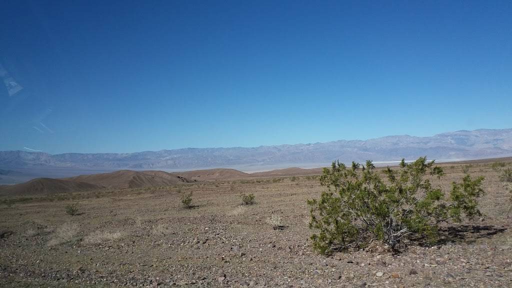 Cucina Italiana at Spanish Flat Village Center | restaurant | 4310 Knoxville Rd, Napa, CA 94558, USA | 7079662433 OR +1 707-966-2433