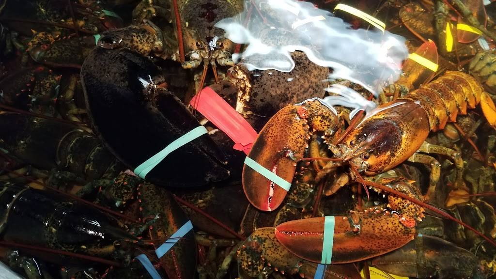 Nauset Fish & Lobster Pool | restaurant | 38 MA-6A, Orleans, MA 02653, USA | 5082551019 OR +1 508-255-1019