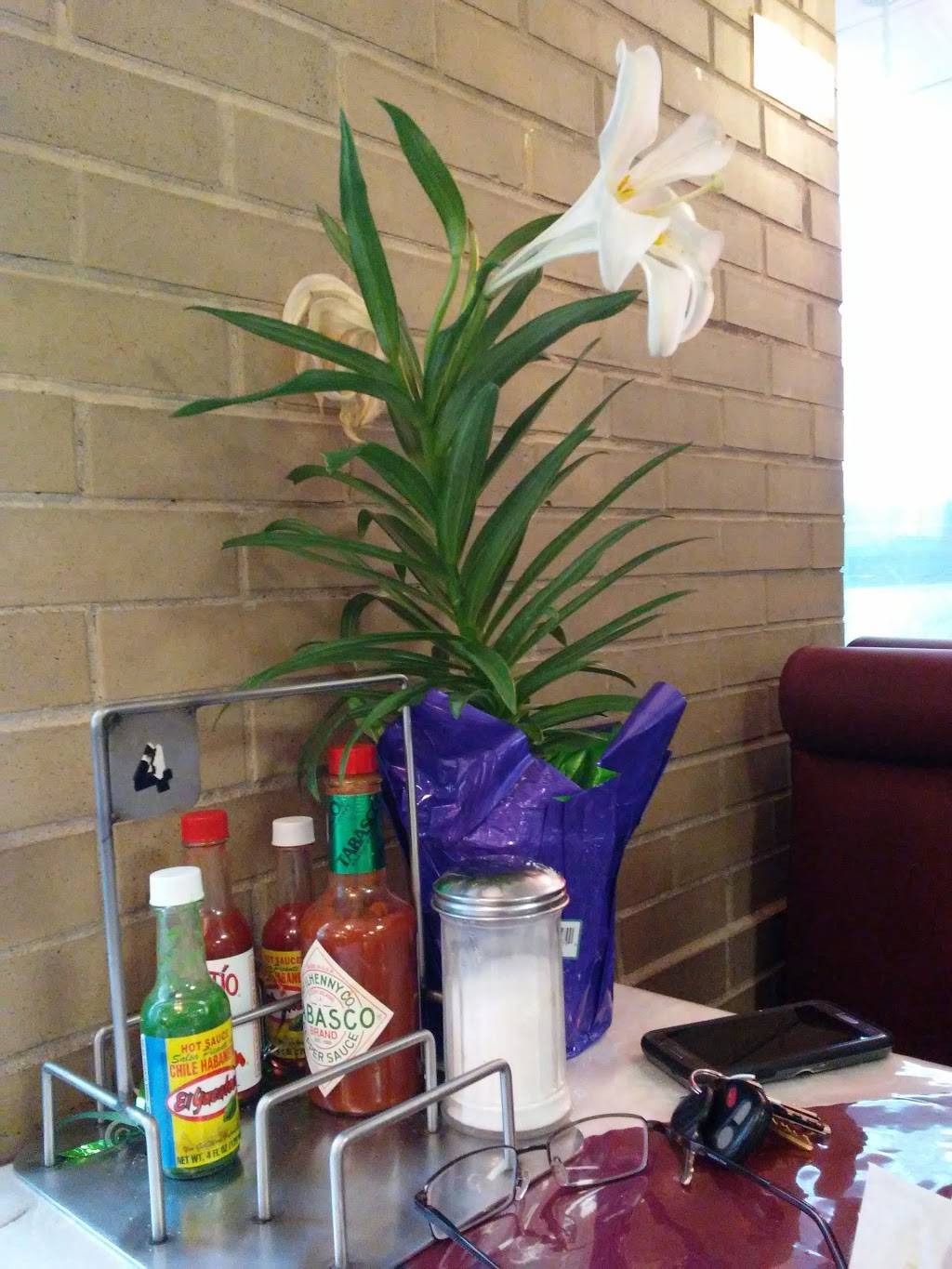 Las Brisas Del Mar | restaurant | 3207 W 51st St, Chicago, IL 60632, USA | 7734345040 OR +1 773-434-5040