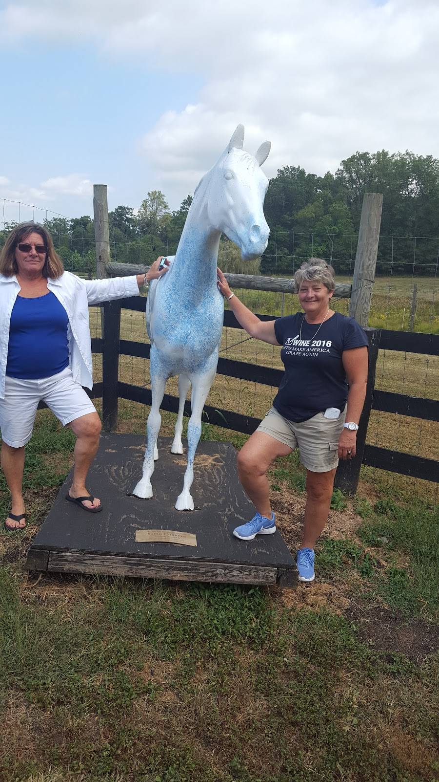 Corcoran Vineyards & Cidery | restaurant | 14635 Corkys Farm Ln, Waterford, VA 20197, USA | 5408829073 OR +1 540-882-9073