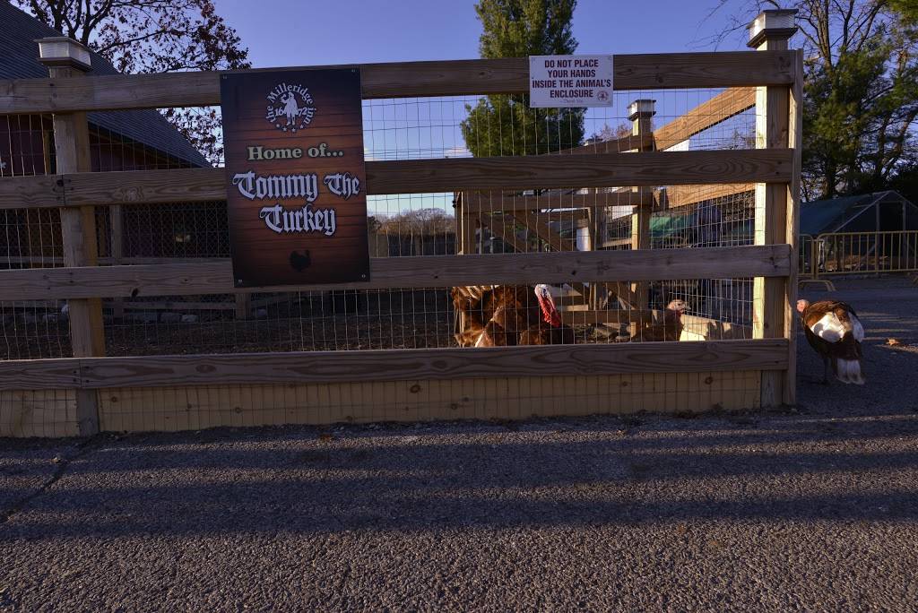 The carlton | restaurant | 585 N Broadway, Jericho, NY 11753, USA | 5169312201 OR +1 516-931-2201