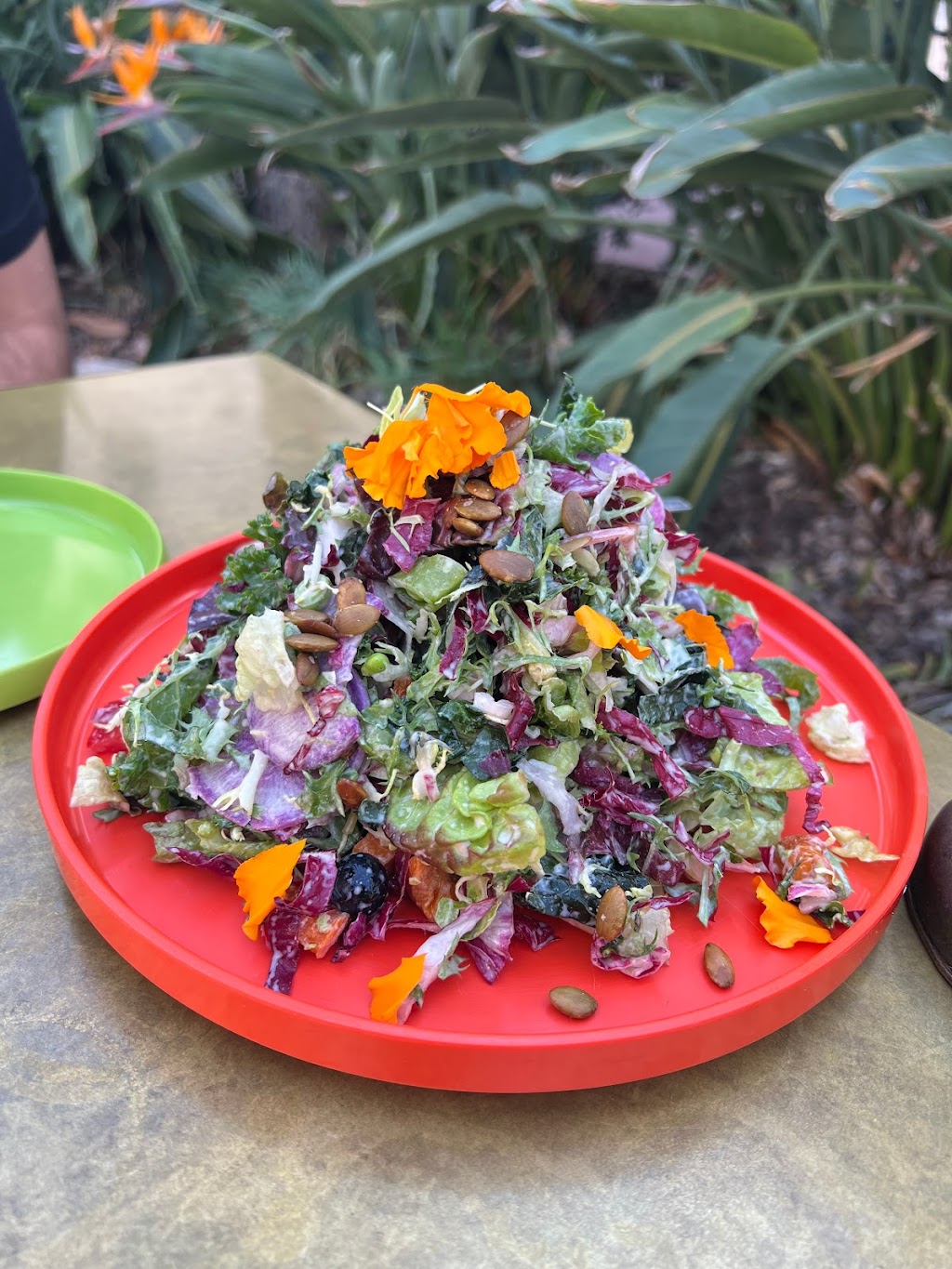 Satellite SB | restaurant | 1117 State St, Santa Barbara, CA 93101, USA | 8053643043 OR +1 805-364-3043