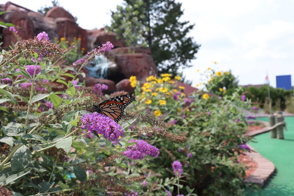 Buoy 18 Miniature Golf and Ice Cream | meal takeaway | 960 E Midland St, Bay City, MI 48706, USA | 9898910700 OR +1 989-891-0700