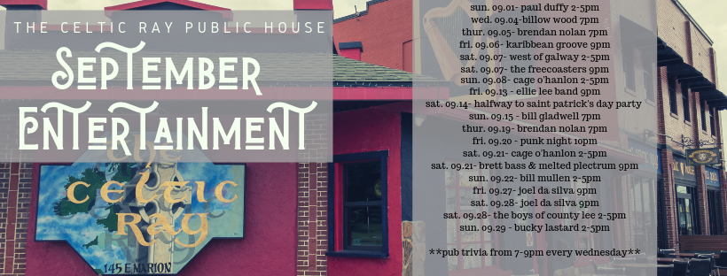 Celtic Ray Public House | meal takeaway | 145 E Marion Ave, Punta Gorda, FL 33950, USA | 9419169115 OR +1 941-916-9115