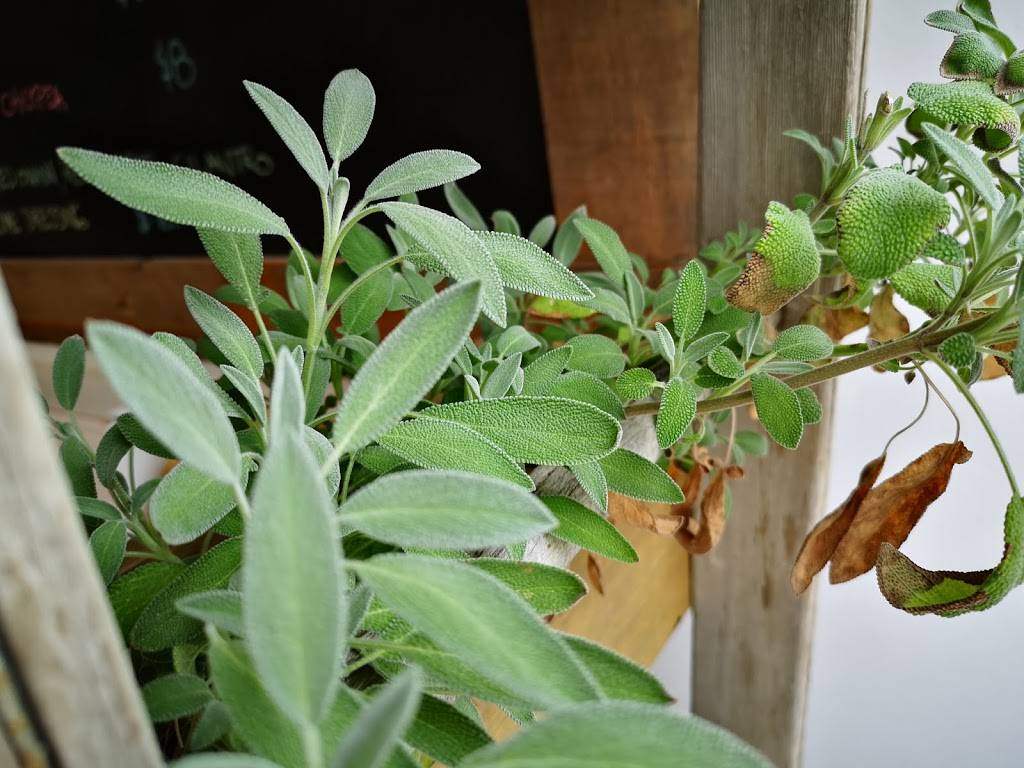 A Little Thai Kitchen | restaurant | 162 Napier St, Barrie, ON L4M 1W5, Canada | 7058160007 OR +1 705-816-0007