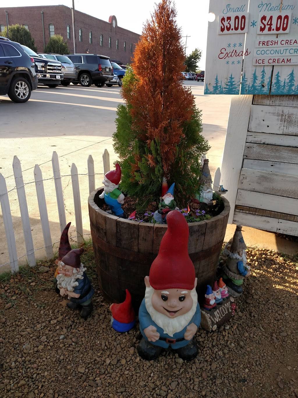 Gnome Cones | restaurant | 421 US 377 S, Argyle, TX 76226, USA | 9403209439 OR +1 940-320-9439