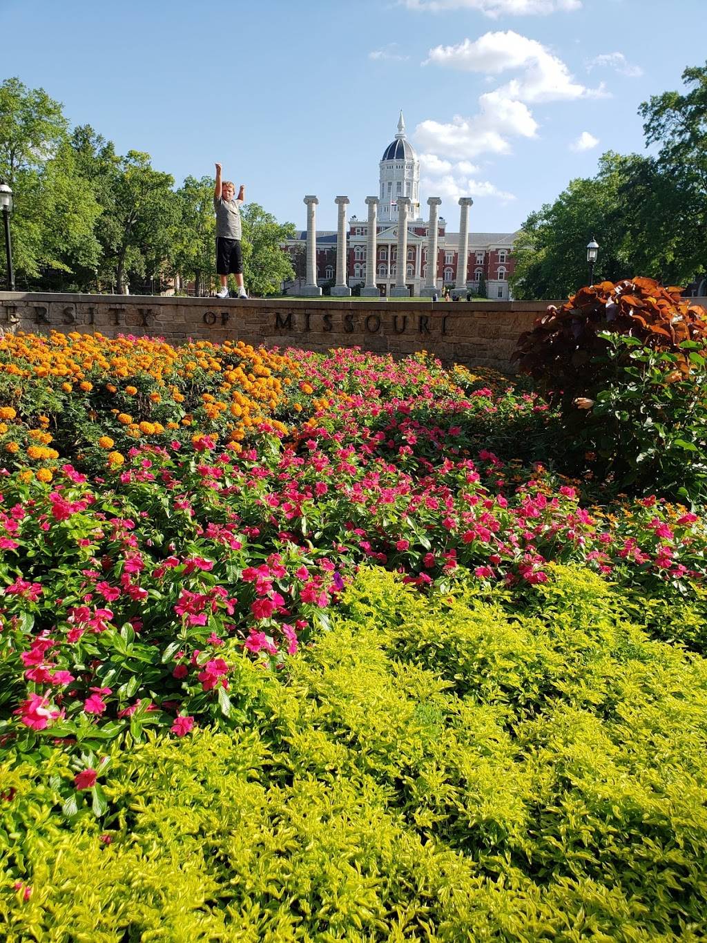 CJs In Tiger Country | restaurant | 704 E Broadway, Columbia, MO 65201, USA | 5734427777 OR +1 573-442-7777