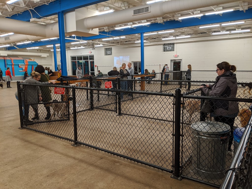 Unleashed Hounds and Hops | restaurant | 200 East Lyndale Ave N, Minneapolis, MN 55405, USA | 6124395060 OR +1 612-439-5060