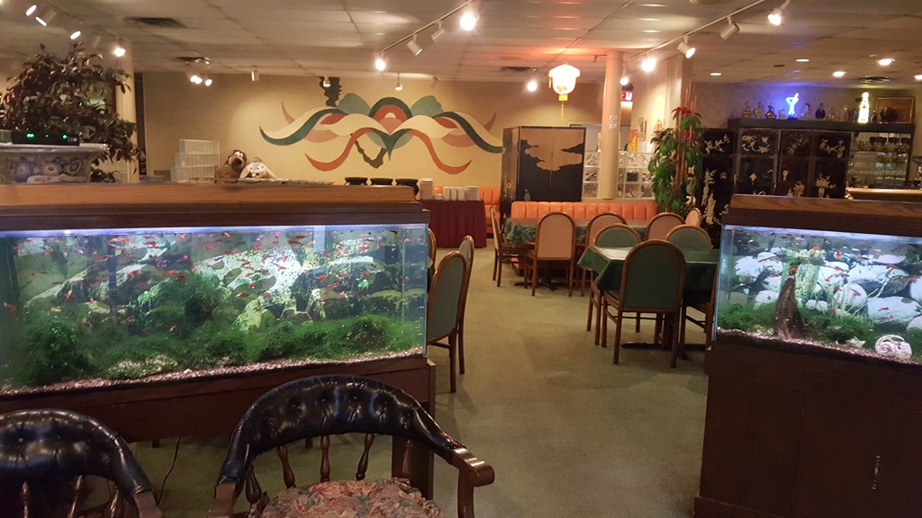 Imperial Garden Restaurant | restaurant | 2950 Hayden Rd, Columbus, OH 43235, USA | 6147998655 OR +1 614-799-8655