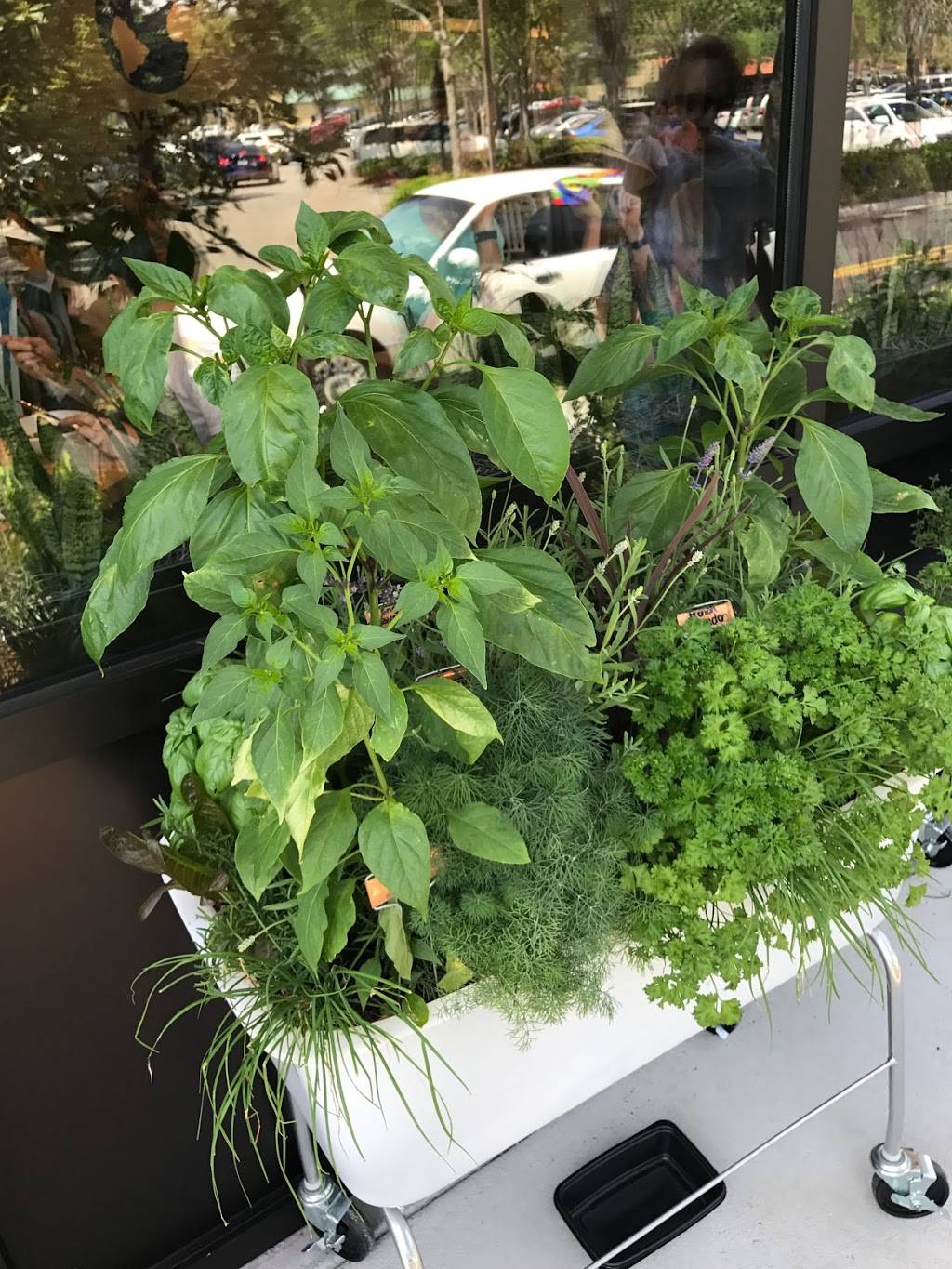 True Food Kitchen | restaurant | Waterside Shops | 5375, Tamiami Trail N Suite 15, Naples, FL 34108, USA | 2394314580 OR +1 239-431-4580