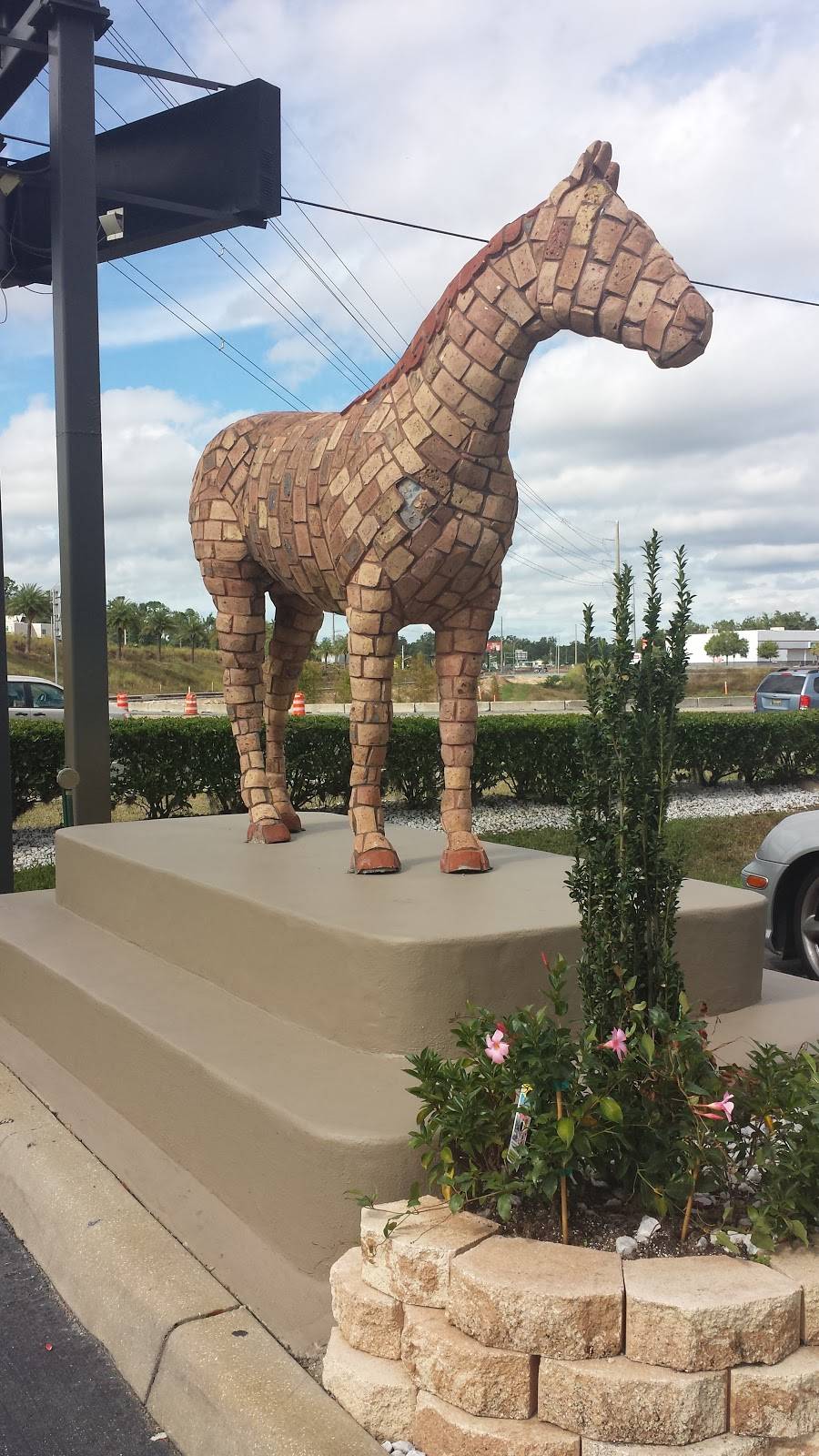 Hook Fish and Chicken | restaurant | 3710 W SW College Rd, Ocala, FL 34474, USA | 3525120694 OR +1 352-512-0694